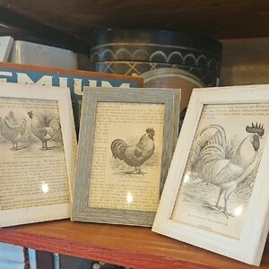 Vintage Framed Chicken illustrations